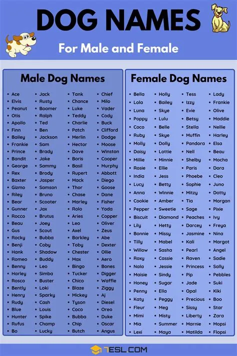 What is p.e.k.k.a dog name?